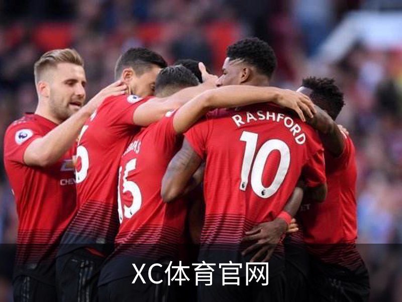 XC体育官网介绍